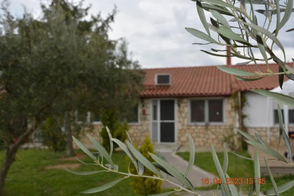 Πετρινη Κατοικια Στην Φυση Βίλα Ταγαράδες Εξωτερικό φωτογραφία